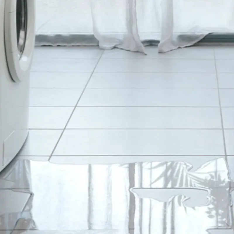 Appliance Leak Cleanup in Sinton, TX