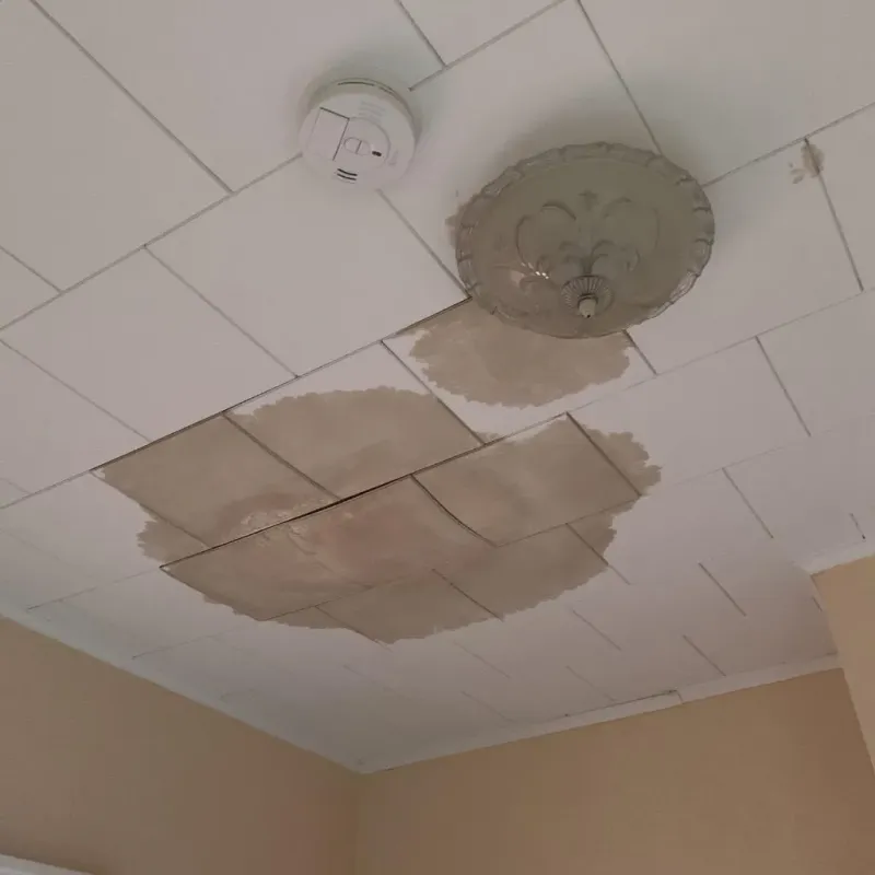 Ceiling Water Damage Repair in Sinton, TX