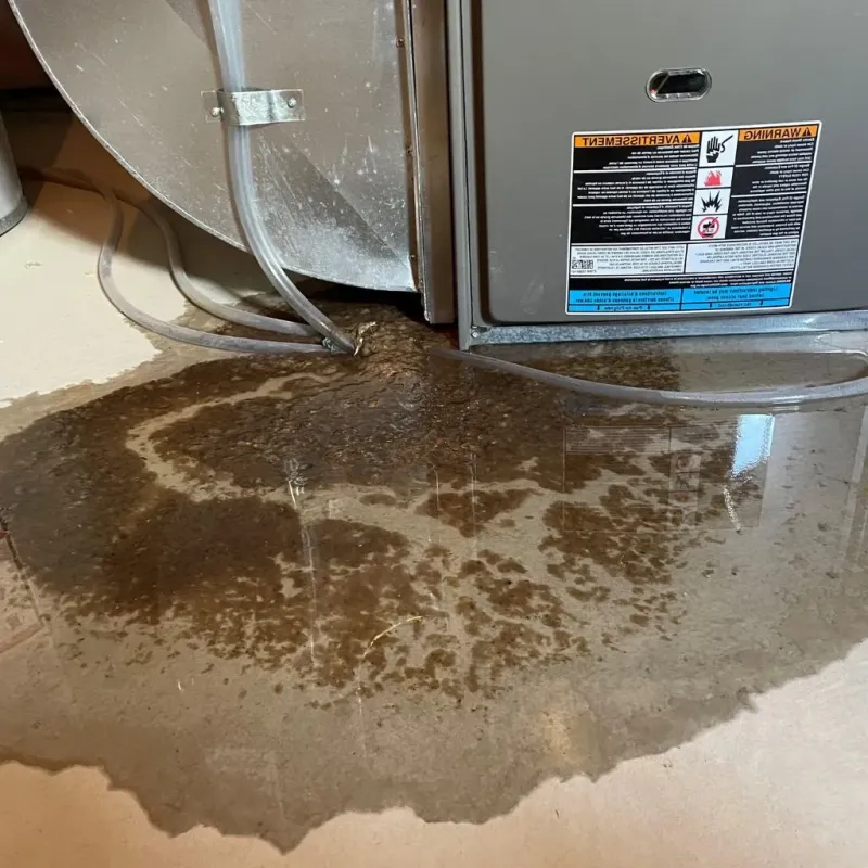 Pipe Burst and Leak Restoration in Sinton, TX
