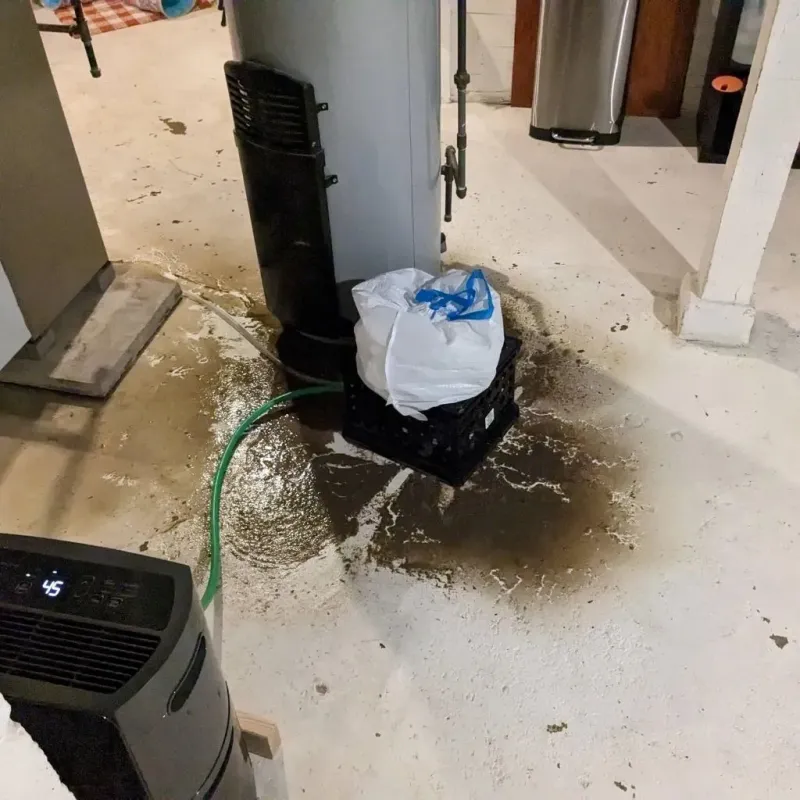 Sewage Backup Cleanup Service in Sinton, TX